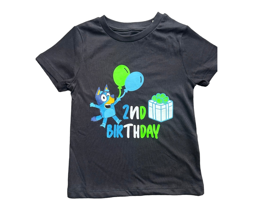 Personalised Children’s Birthday T-Shirts / Bluey themed birthday’s