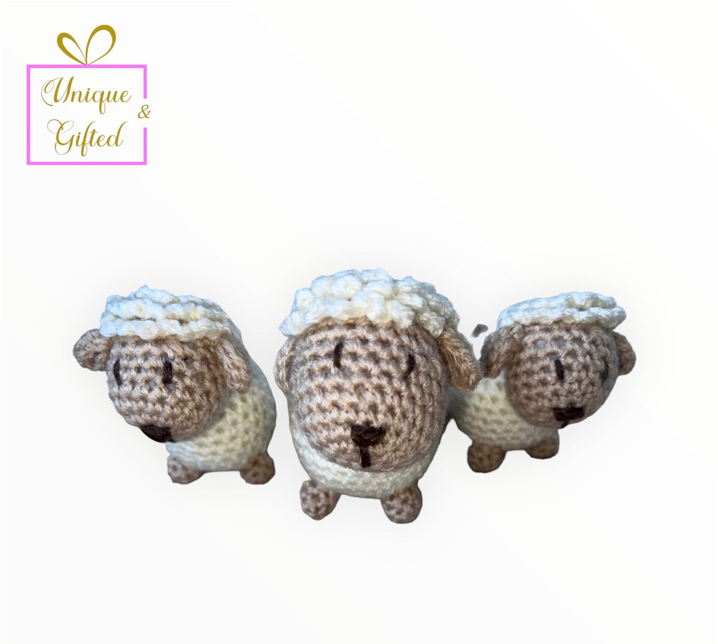 Our Lovely Mumma Sheep With Two Little Lambs